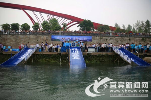 宜宾启动《长江鲟（达氏鲟）拯救行动计划》(图2)