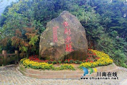 6月2日&nbsp;到古蔺黄荆老林景区体验“英雄情怀”(图6)