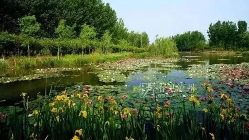 合江尧坝驿签约 18家商企重金投资(图5) 合江尧坝驿签约 18家商企重金投资(图5)