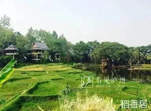 合江尧坝驿签约 18家商企重金投资(图11) 合江尧坝驿签约 18家商企重金投资(图11)