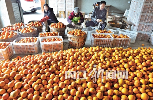 内江市大力推动农产品销售提质增效