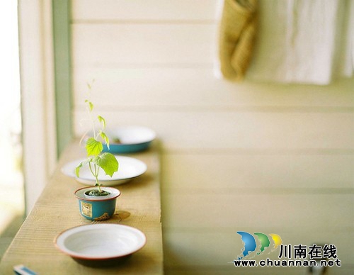 朱路昕：走在青春不散场的路上（评论）