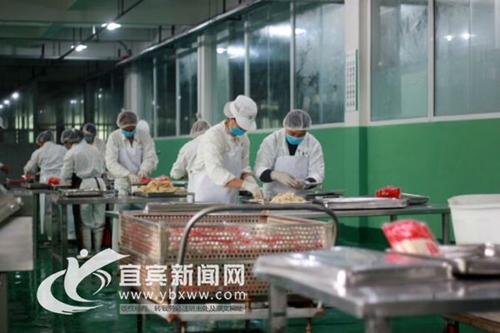 宜宾竹企搭上春天列车 打造竹食品全球产业链(图1) 宜宾竹企搭上春天列车 打造竹食品全球产业链(图1)