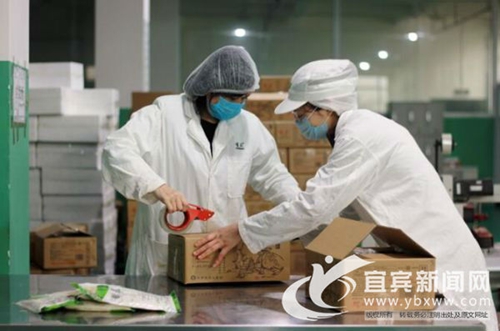 宜宾竹企搭上春天列车&nbsp;打造竹食品全球产业链