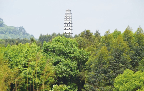 泸州古塔知多少&nbsp;静默如斯话沧桑
