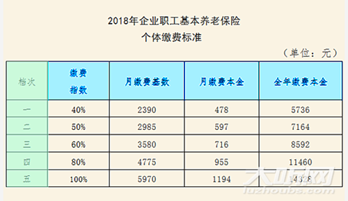 泸州2018年养老保险个体开始缴费&nbsp;分5档