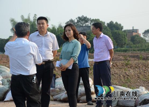 省政府办公厅到泸县太伏镇调研产业扶贫(图1) 省政府办公厅到泸县太伏镇调研产业扶贫(图1)