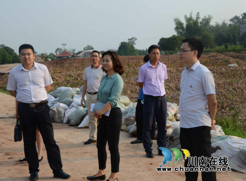 省政府办公厅到泸县太伏镇调研产业扶贫(图3) 省政府办公厅到泸县太伏镇调研产业扶贫(图3)