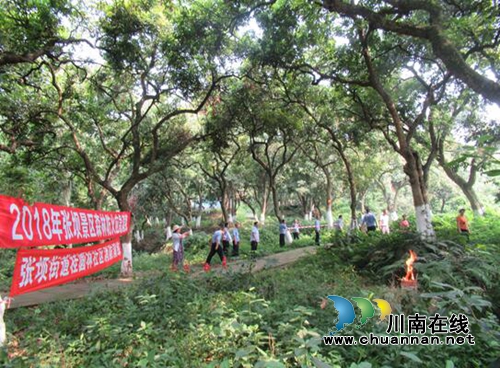 江阳区张坝街道桂圆林社区开展夏季消防演练活动