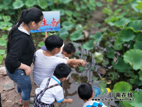 泸县玉龙湖第十届放生节隆重开幕(图2)