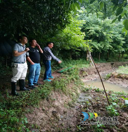 江阳区张坝街道开展汛期安全大排查大整治大督查