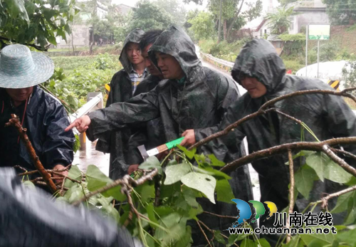 宜宾南溪区留宾乡及时有效应对暴雨险情(图1) 宜宾南溪区留宾乡及时有效应对暴雨险情(图1)