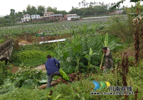 宜宾南溪区留宾乡及时有效应对暴雨险情(图3) 宜宾南溪区留宾乡及时有效应对暴雨险情(图3)