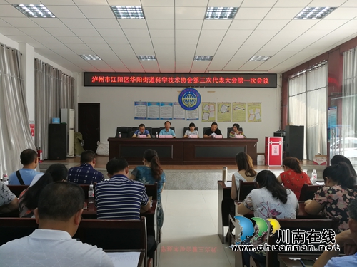 江阳区华阳街道召开科协第三次代表大会