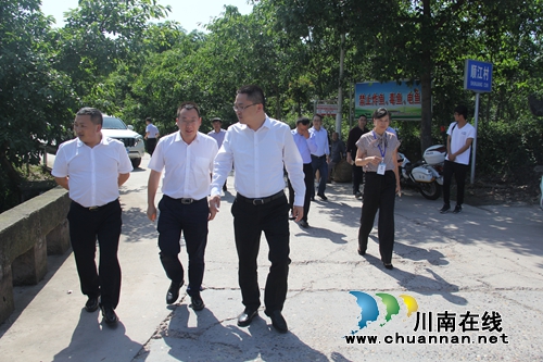 杨晓到泸县云龙镇督导水生态治理工作(图1)
