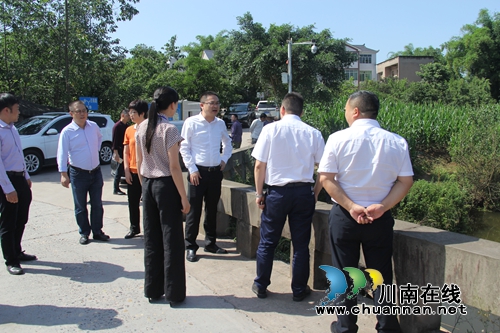 杨晓到泸县云龙镇督导水生态治理工作