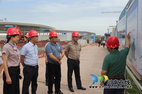 省住建厅复核云龙镇省级特色小城镇创建工作