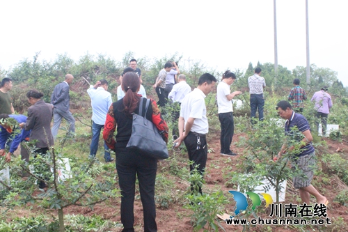 泸县太伏镇召开产业扶贫专题培训会