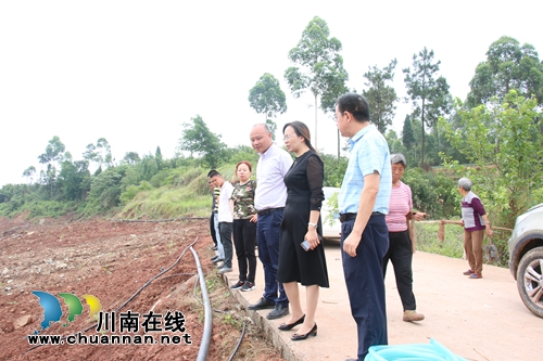 泸县潮河镇调研王坪村产业经济发展情况