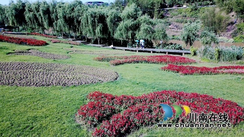 花草为“针线”&nbsp;泸州纳溪织出“天然地毯”(图6)