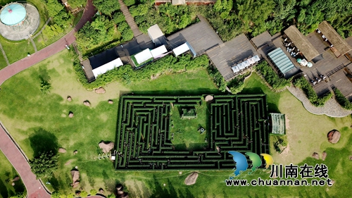 花草为“针线”&nbsp;泸州纳溪织出“天然地毯”(图8)