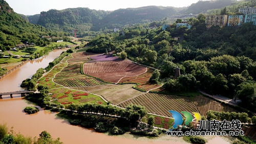 花草为“针线”&nbsp;泸州纳溪织出“天然地毯”(图1)