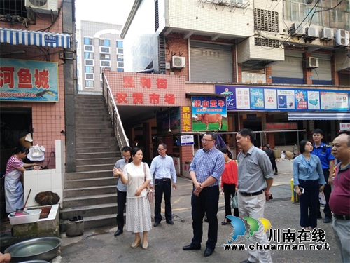 纳溪区领导带队督查纳溪区第七次国卫复审迎检工作(图1) 纳溪区领导带队督查纳溪区第七次国卫复审迎检工作(图1)