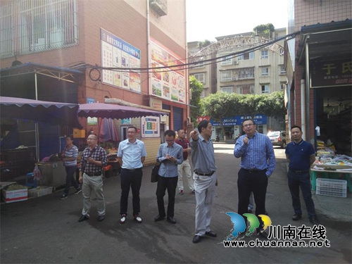 纳溪区领导带队督查纳溪区第七次国卫复审迎检工作