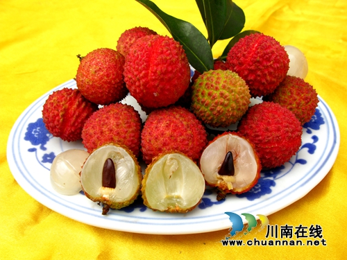 奖金让人眼红心跳!“合江荔枝”等你来代言(图10) 奖金让人眼红心跳!“合江荔枝”等你来代言(图10)