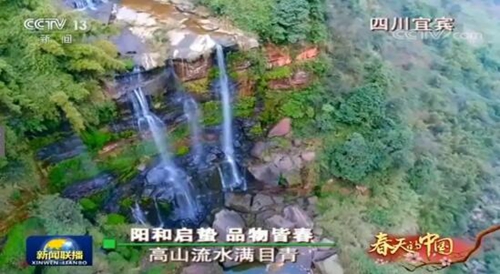 宜宾:打造中国竹都 建设最美竹海(图3) 宜宾:打造中国竹都 建设最美竹海(图3)