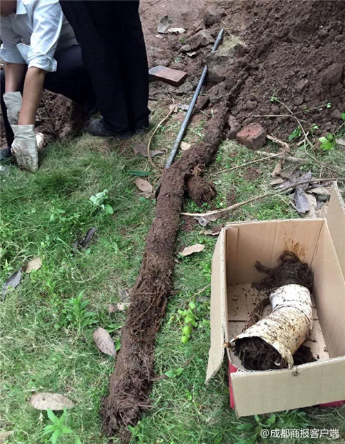 自贡：树根进下水管道堵塞&nbsp;业主家被污水倒灌