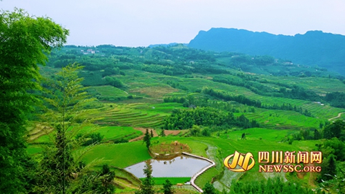 宜宾筠连“梯田文化旅游节”招商签约3亿元(图4)