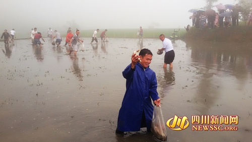 宜宾筠连“梯田文化旅游节”招商签约3亿元(图5)