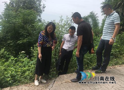 市国土局副调研员徐华琼带队到合江督导土地整理和地灾安全工作