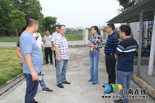 泸县云龙镇：专家把脉会诊环保重点工作
