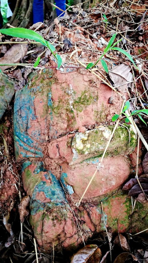 泸州纳溪发现清代稀有“狮头龟身”柱础(图2)