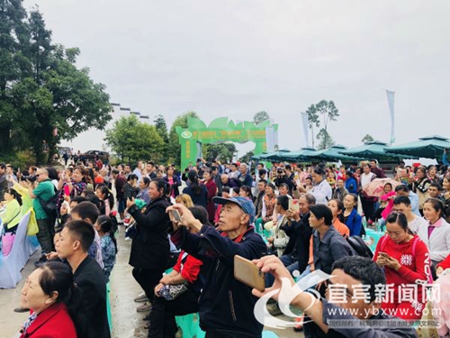 茶旅结合 宜宾举行第三届“屏山炒青”旅游节(图1) 茶旅结合 宜宾举行第三届“屏山炒青”旅游节(图1)