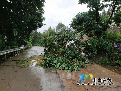泸县公安局所队联合 全力保障全县汛期道路交通安全(图4) 泸县公安局所队联合 全力保障全县汛期道路交通安全(图4)