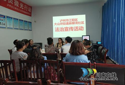 江阳区大山坪街道麻柳湾社区开展法治宣传活动