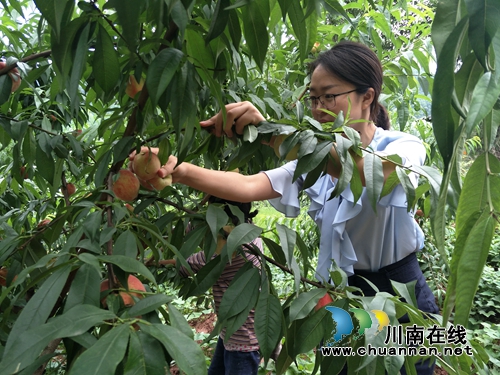 纳溪区委编办务实帮扶得民心
