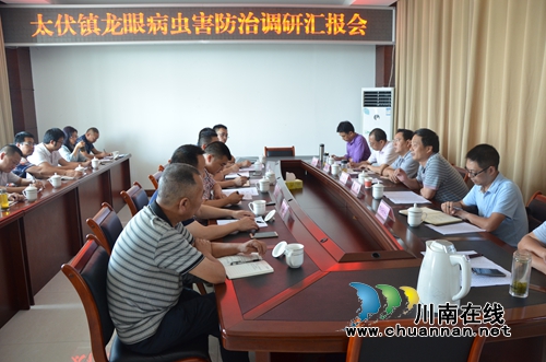 市委副秘书长张兴友率农业专家调研泸县太伏镇龙眼病虫害防治