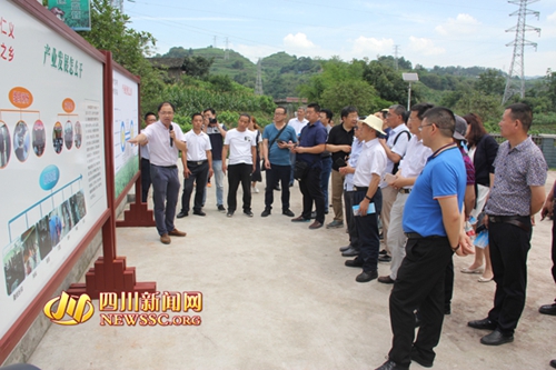 宜宾:桑蚕产业链蜚声国内 百名专家上门取经(图1) 宜宾:桑蚕产业链蜚声国内 百名专家上门取经(图1)