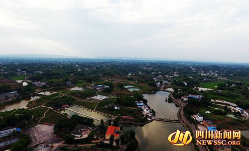 特色产业入新村&nbsp;泸州“十里渔湾”美如画(图2)