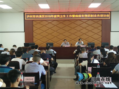 纳溪区抓实爱卫工作夯实国卫基础