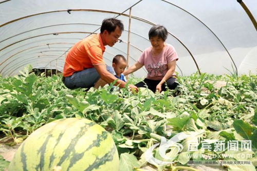瓜果飘香季&nbsp;宜宾高县打出“生态观光旅游”牌