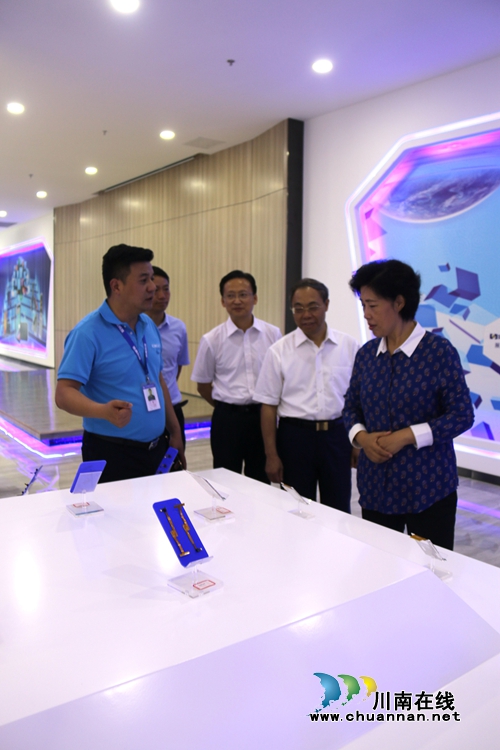 省委常委田向利一行莅临泸州国家高新区调研(图1)