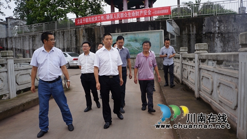 泸县县委书记薛学深率队调研立石镇“一镇一街”及生态环保工作