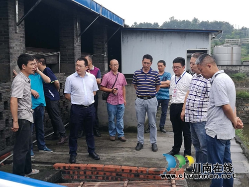 张学彬到泸县立石镇督导河长制工作