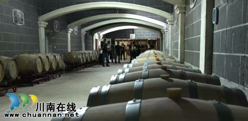 启玉葡萄熟了！6月23日邀你一起来采摘、品尝(图8)