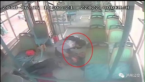 泸州人，你已拥有1250辆“爱车”！(图1)